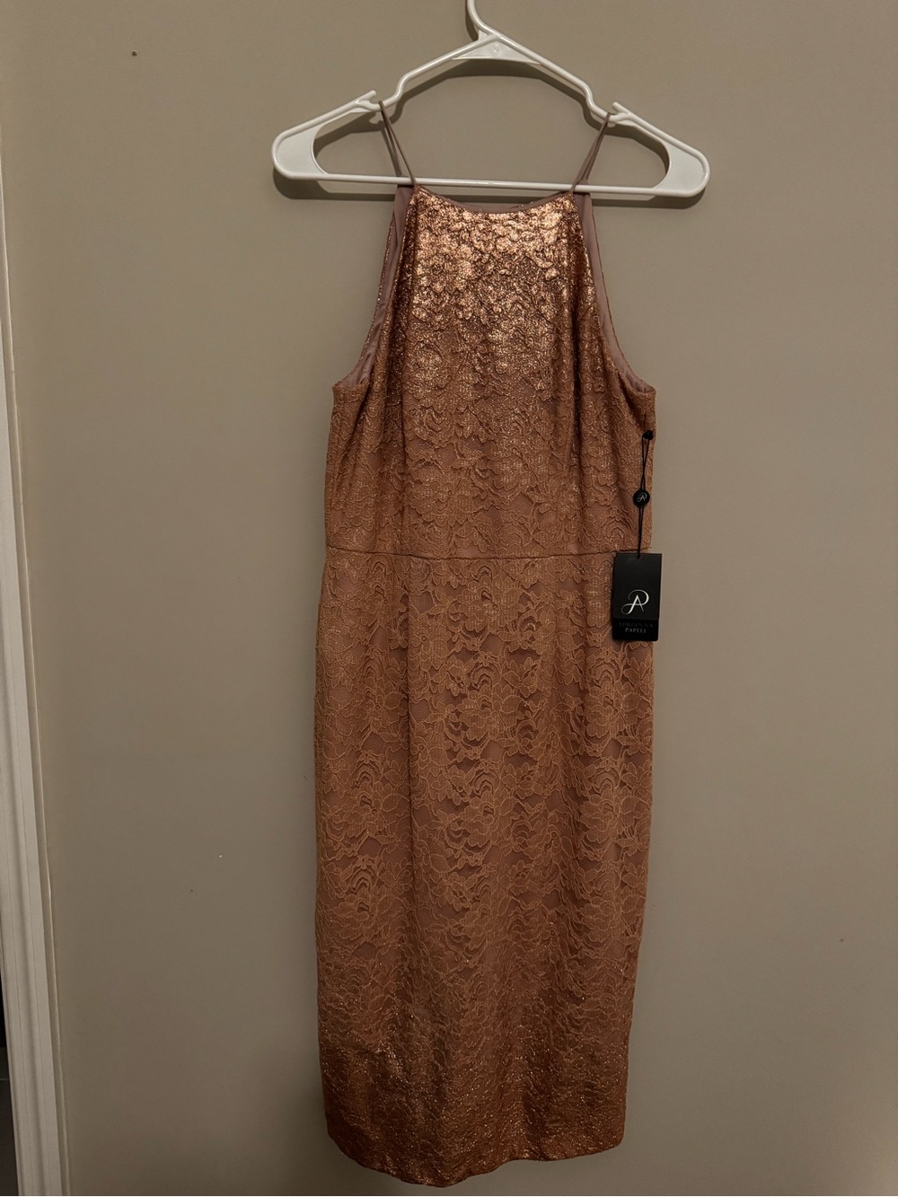 Adrianna Papell Metallic Rose Lace Midi Dress
